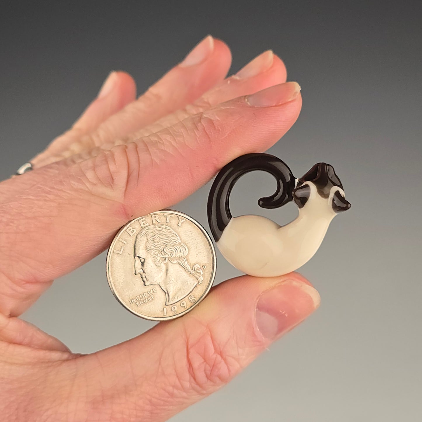 Seal Point: mini