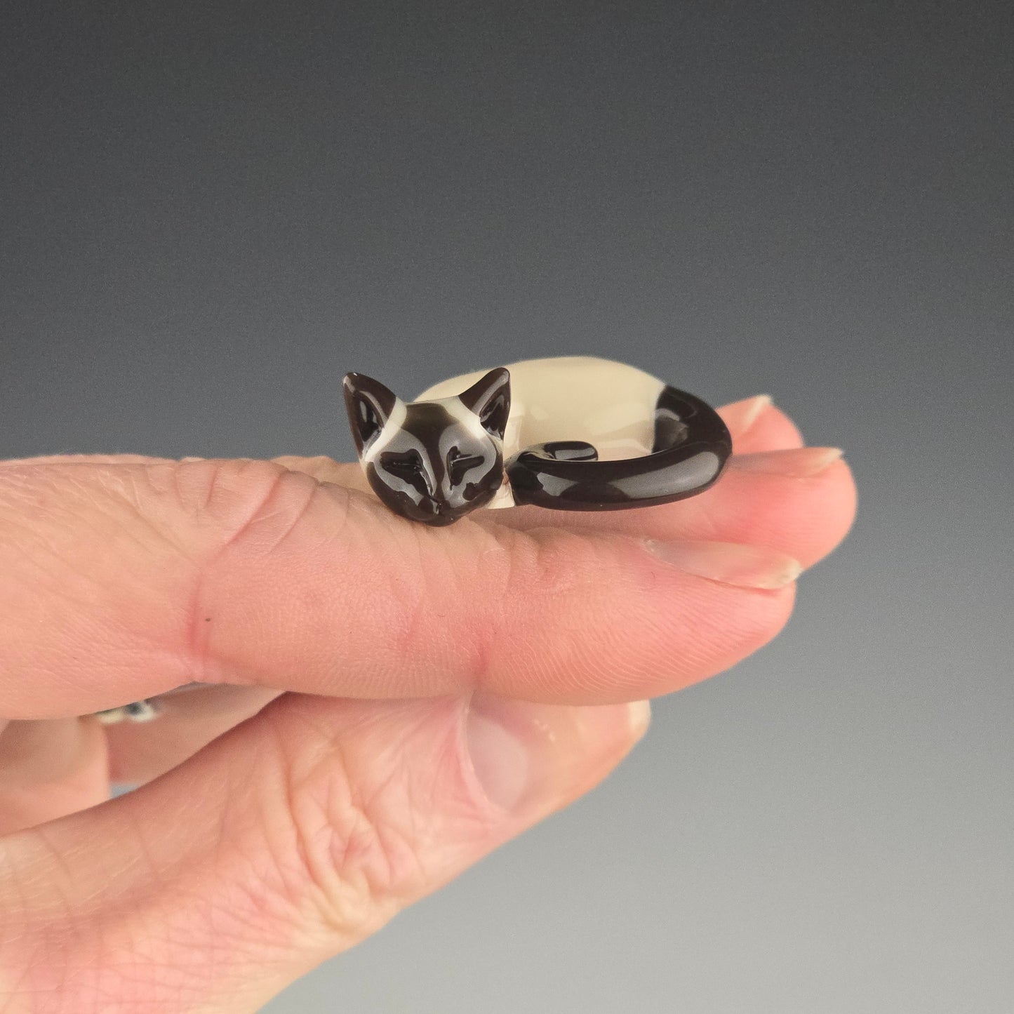 Seal Point: mini
