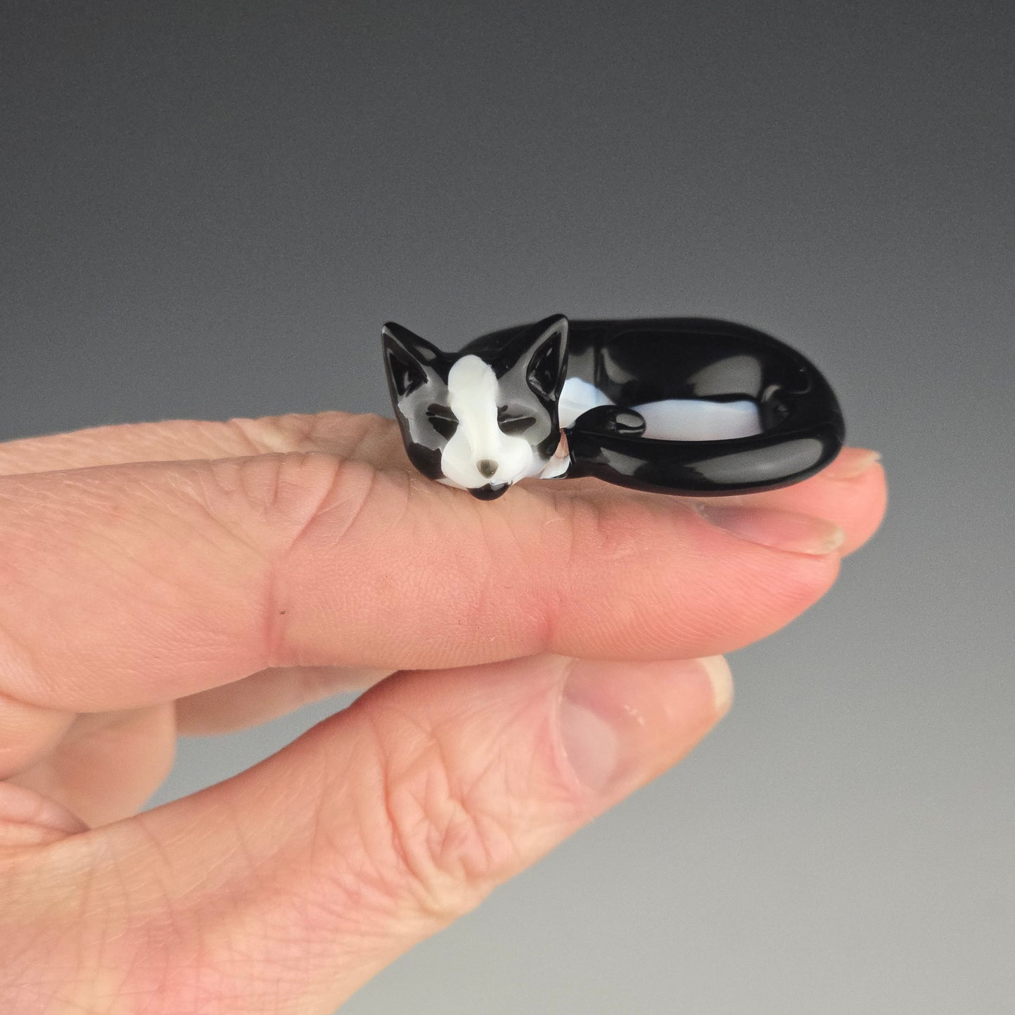 Tuxedo: small