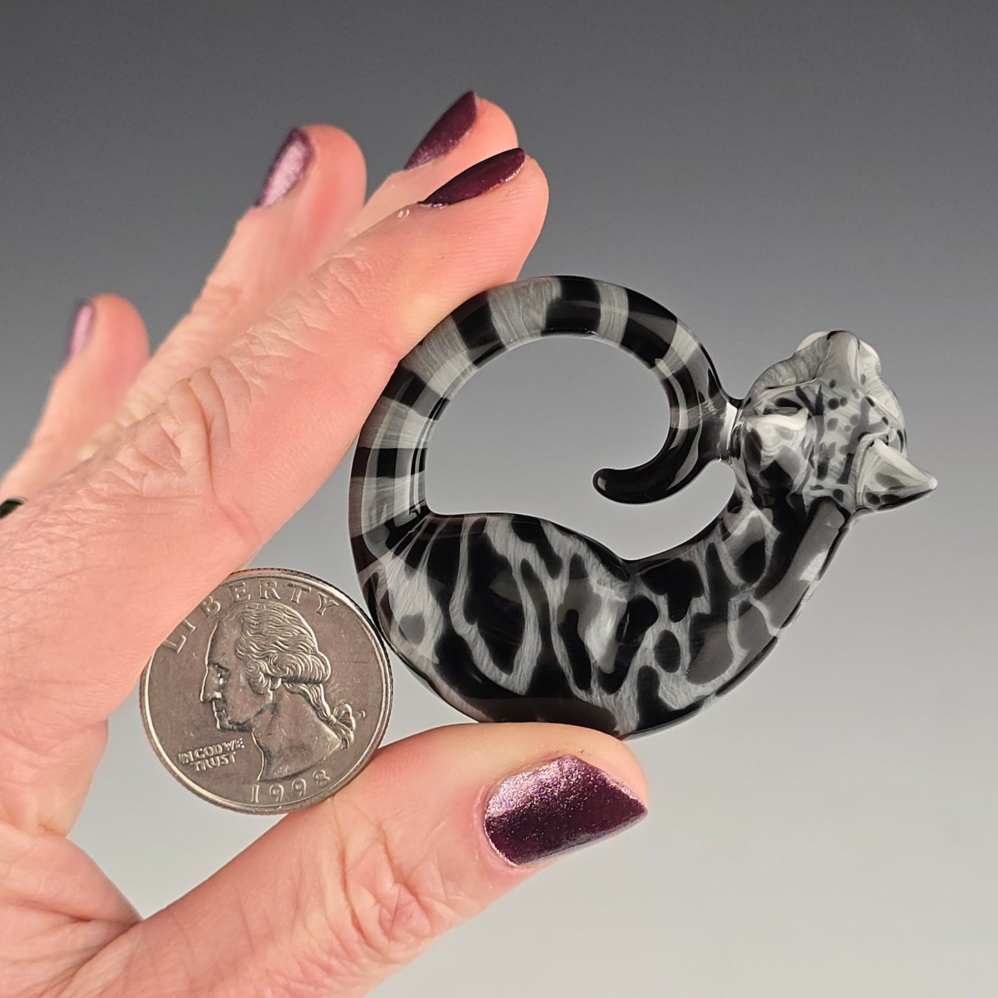 Black & Gray Swirl Tabby: large