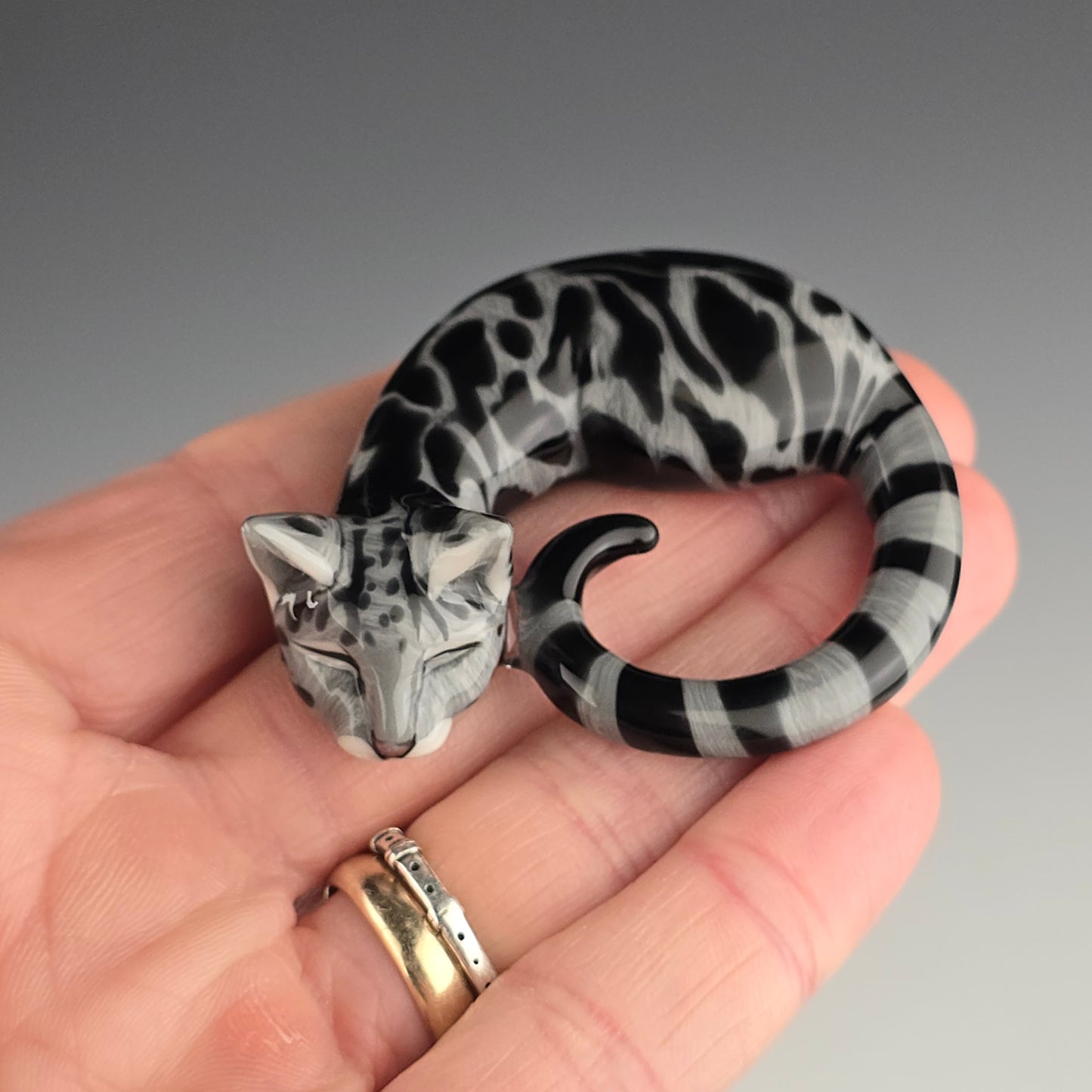 Black & Gray Swirl Tabby: large