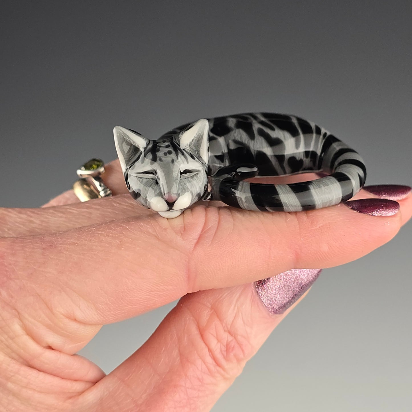 Black & Gray Swirl Tabby: large