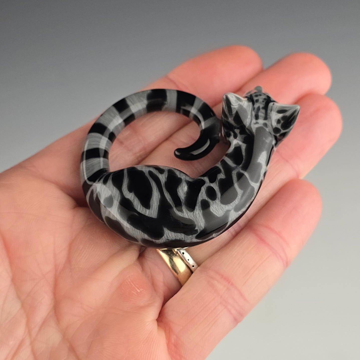 Black & Gray Swirl Tabby: large