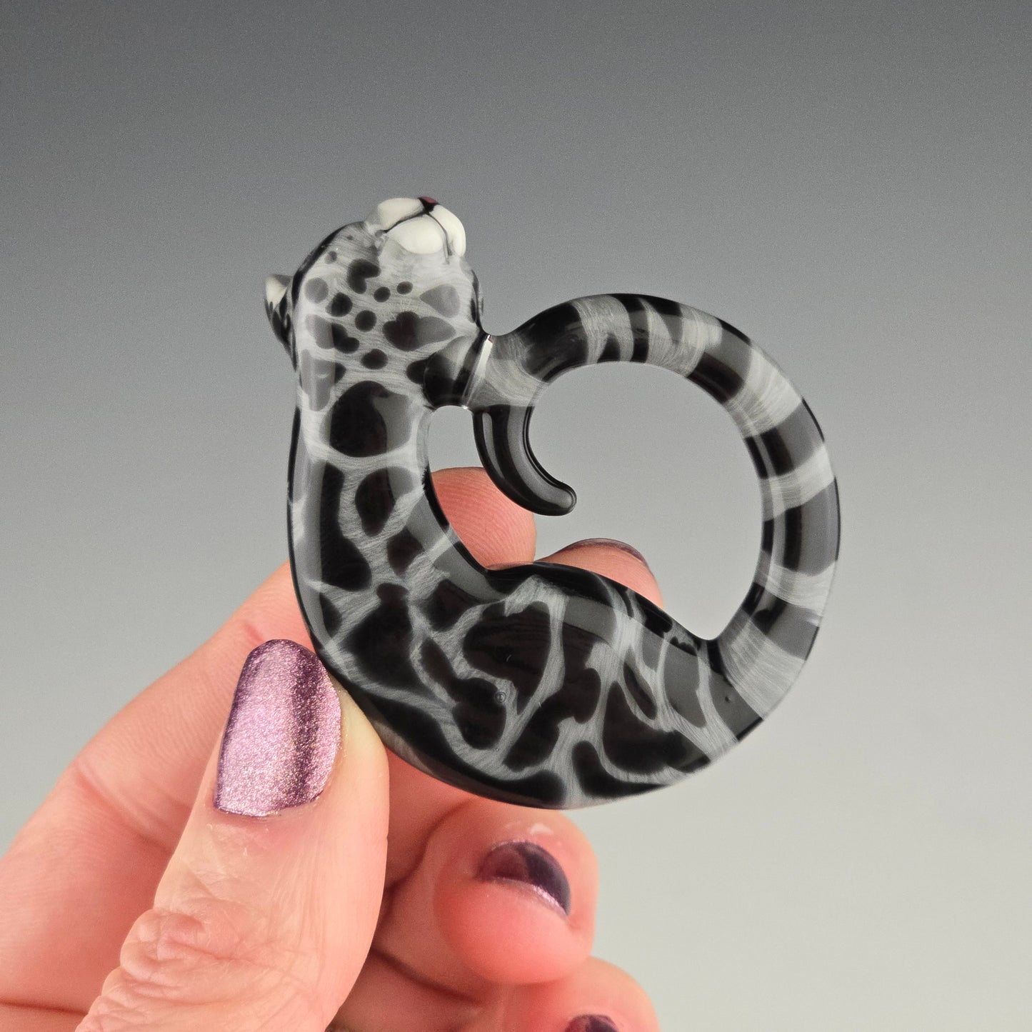 Black & Gray Swirl Tabby: large