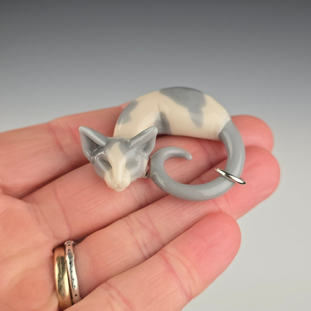 Gray & White Devon Rex: small