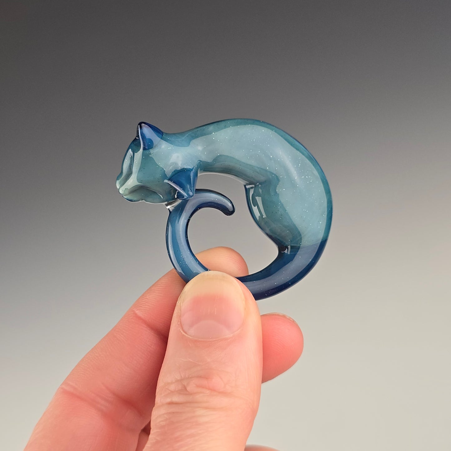 Blue Sparkle Siamese: regular