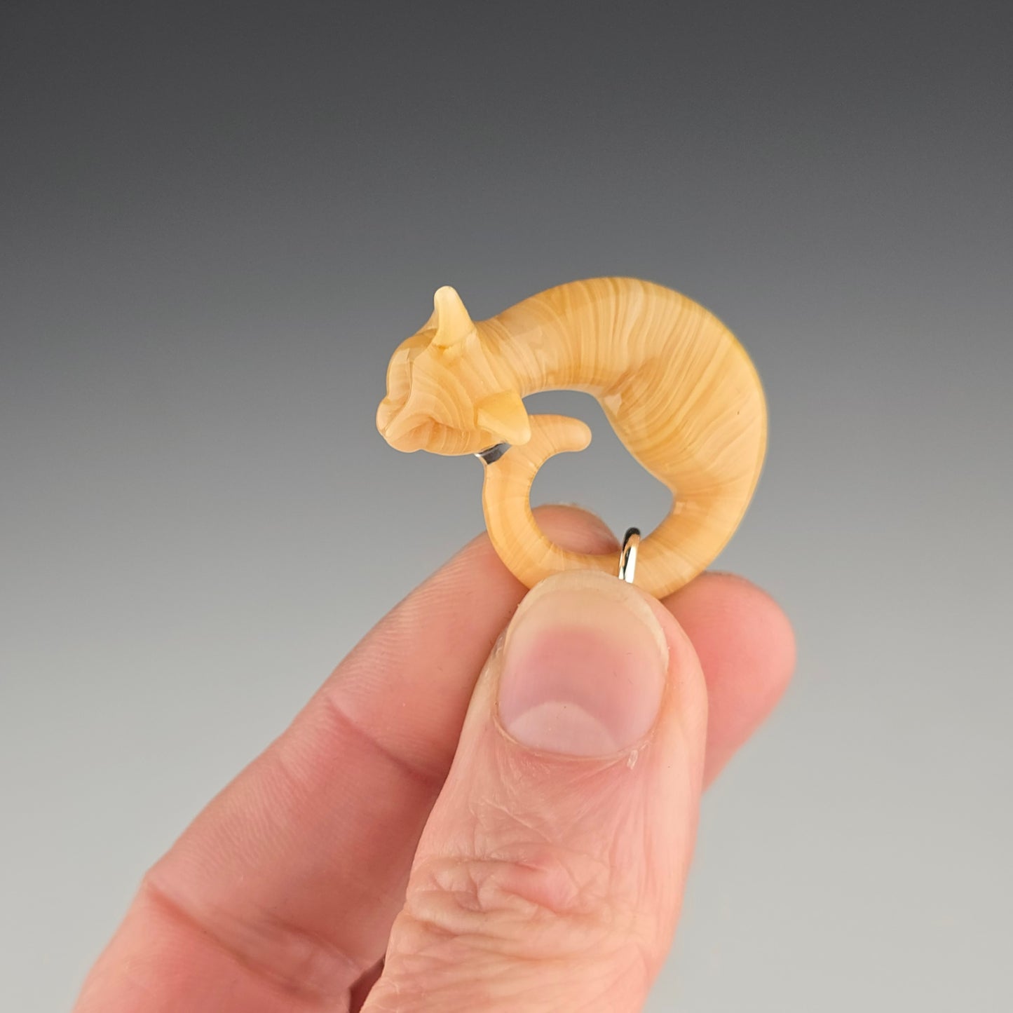 Orange Tabby: micro