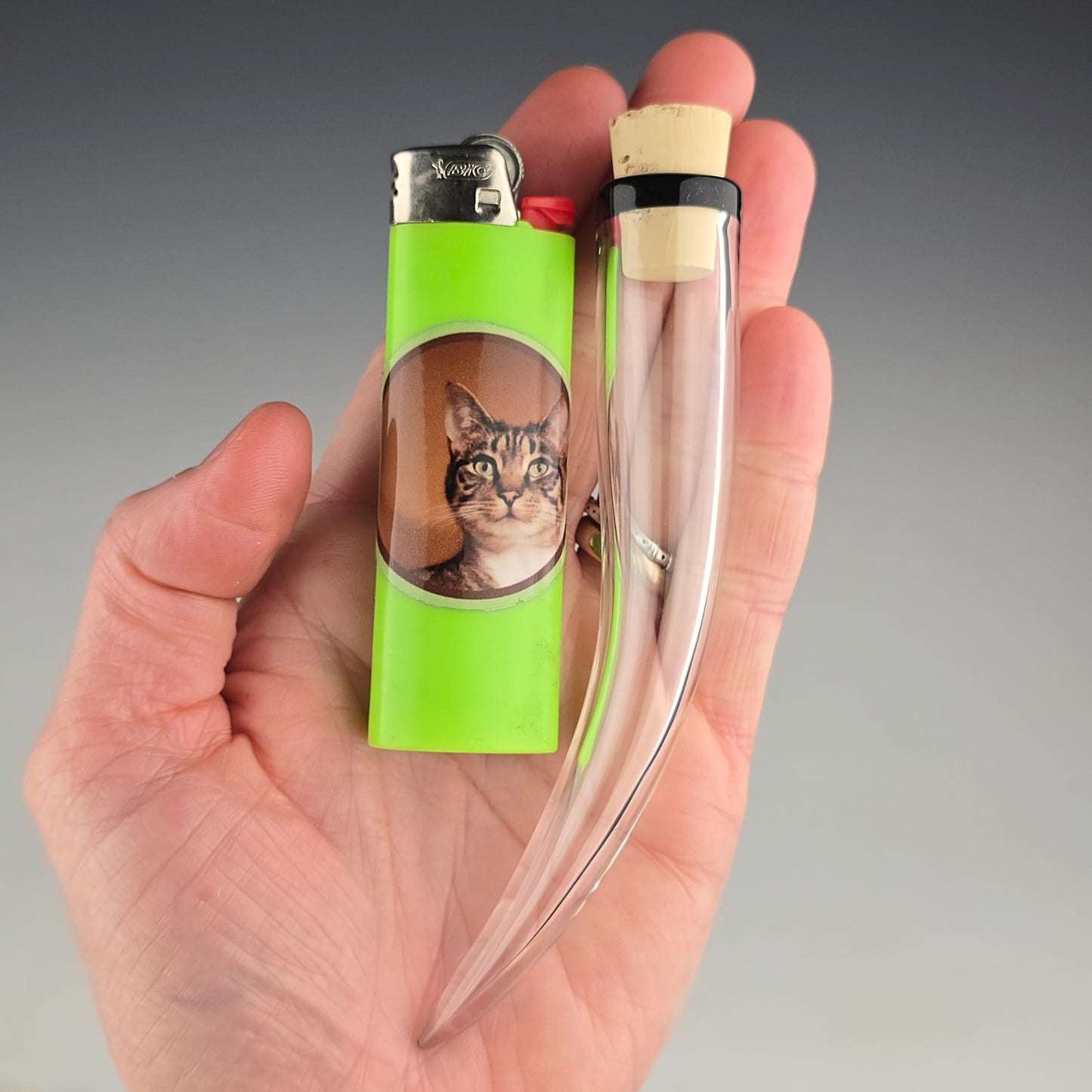 Galaxy Black Whisker Keeper: 4"