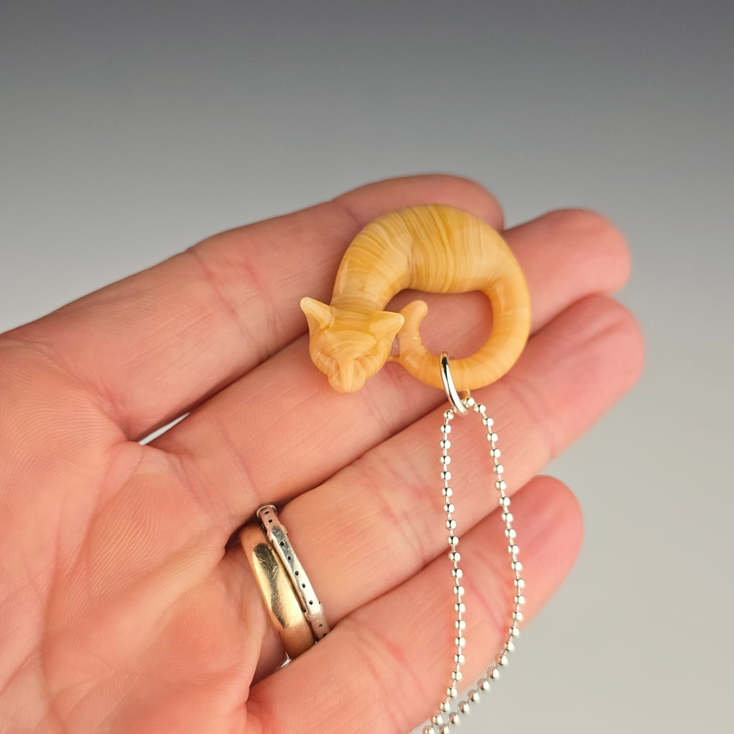 Orange Tabby: micro