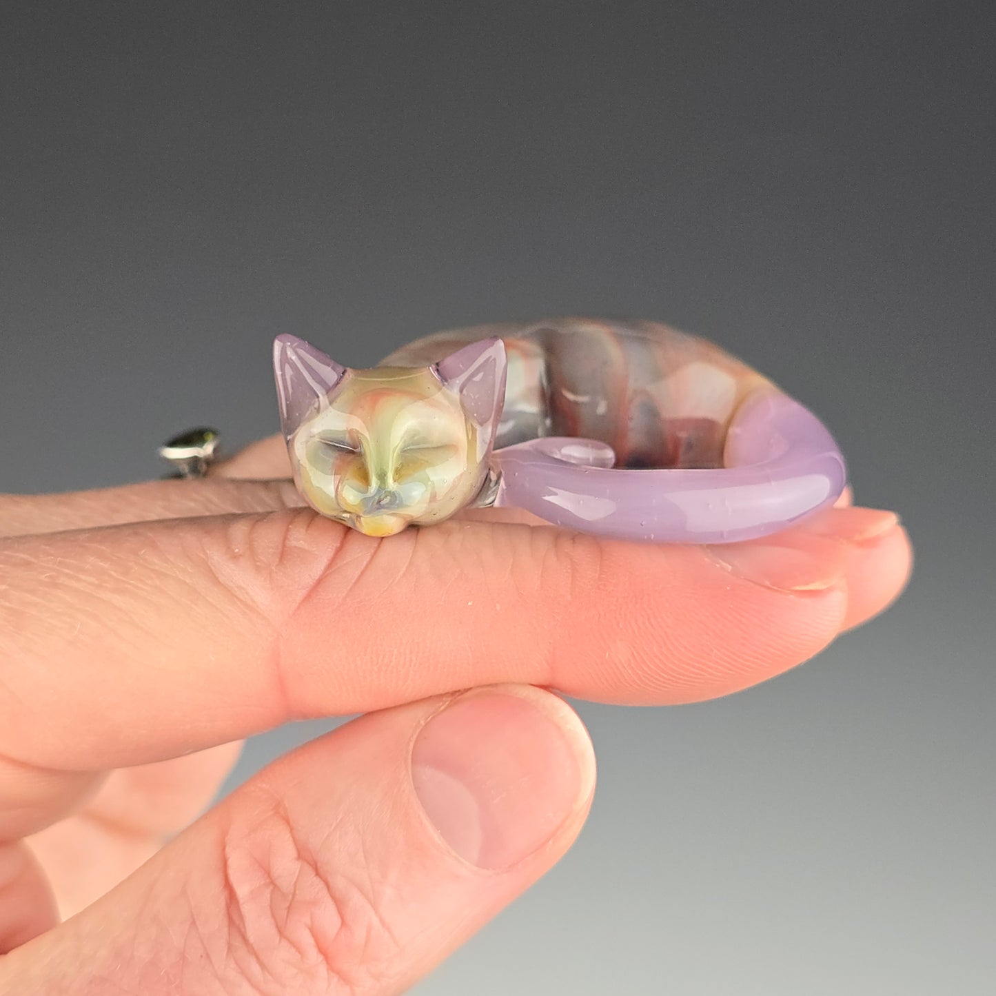 CFL Siriusly Queen Bee Siamese: large