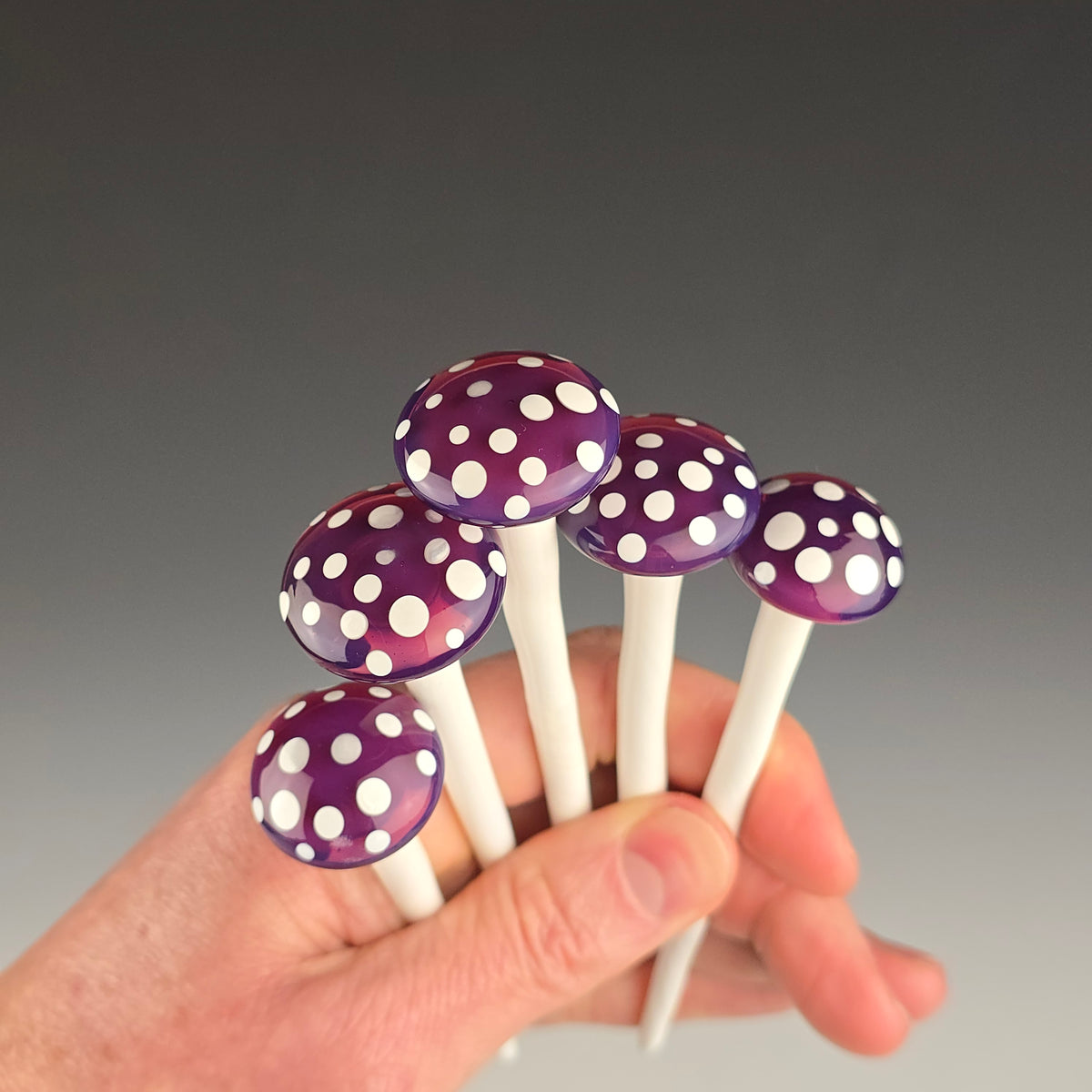 Plant Flare Mushroom: Stargazer Purple