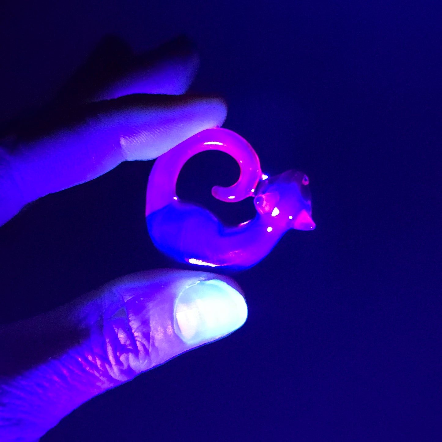 UV Meta & Tela Magenta Siamese: mini