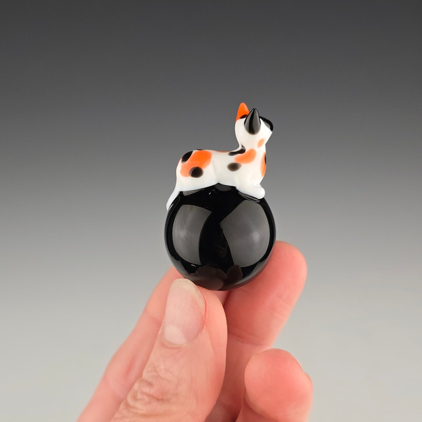 Calico Onyx 25.5mm