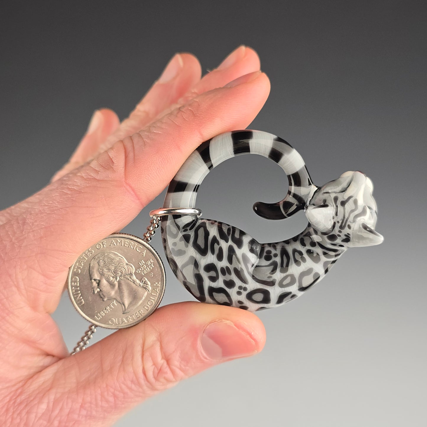 Silver Bengal: Large