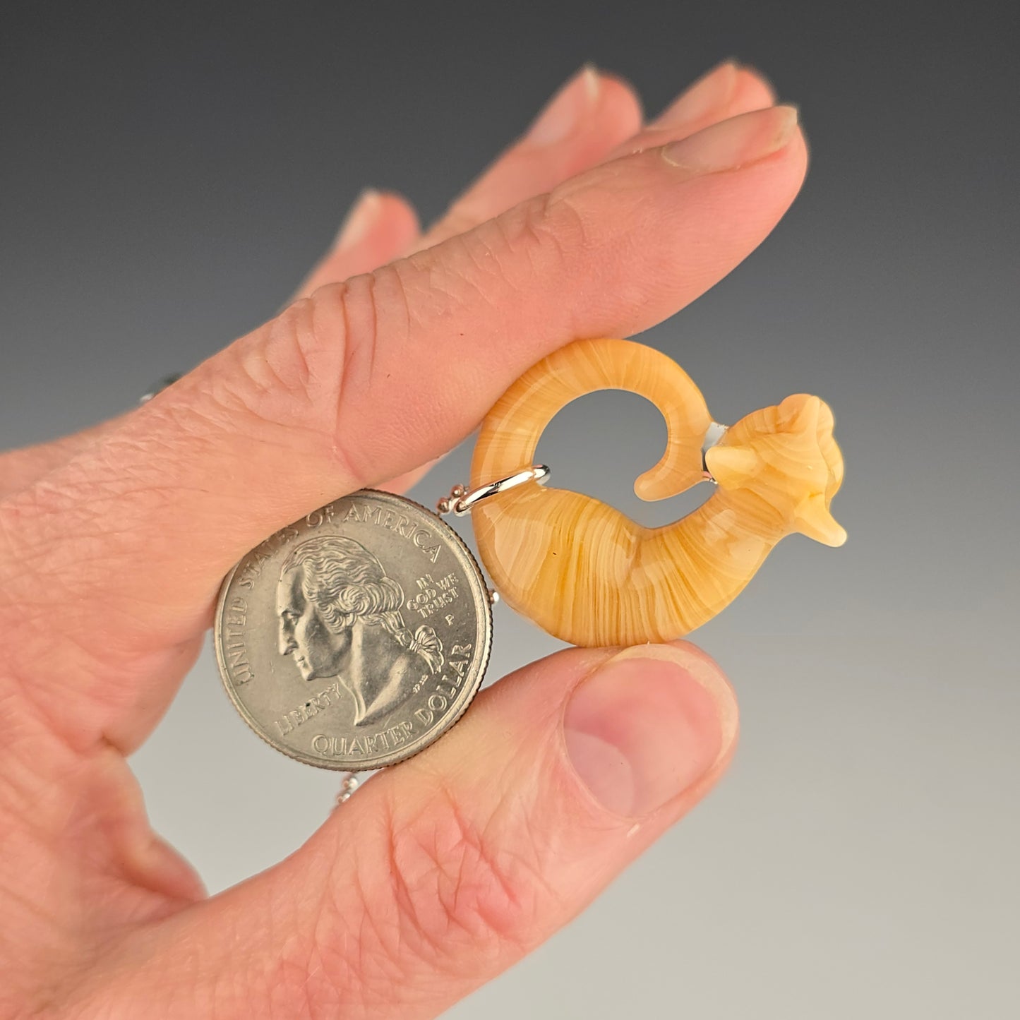 Orange Tabby: micro