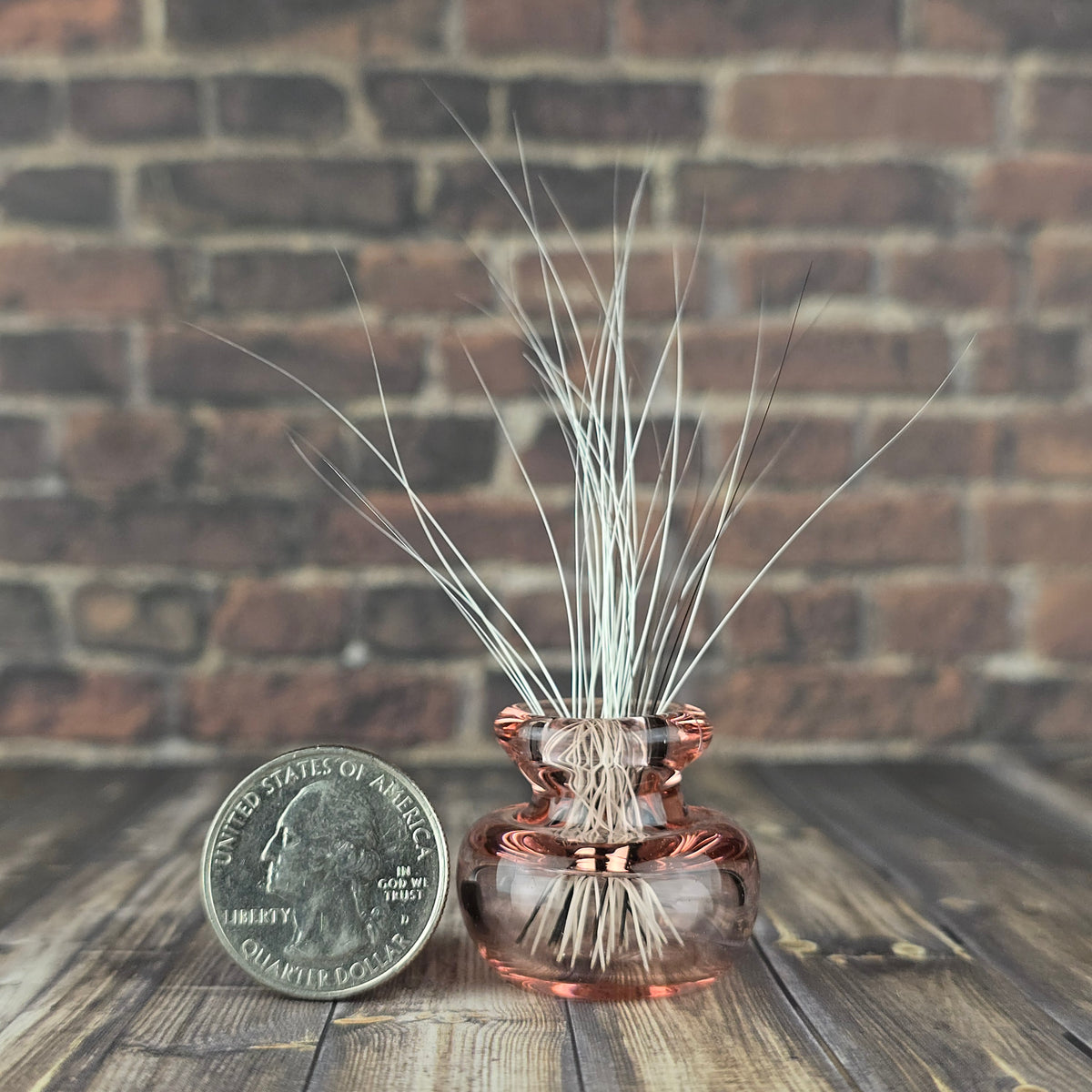 Brozay Whisker Vase #1