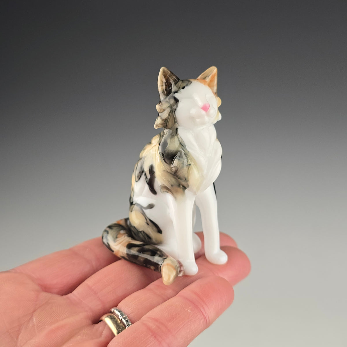 Longhaired Sitting Calico Cat