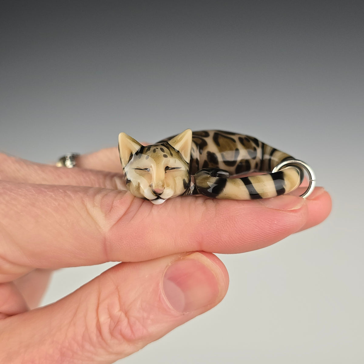 Brown Bengal: regular