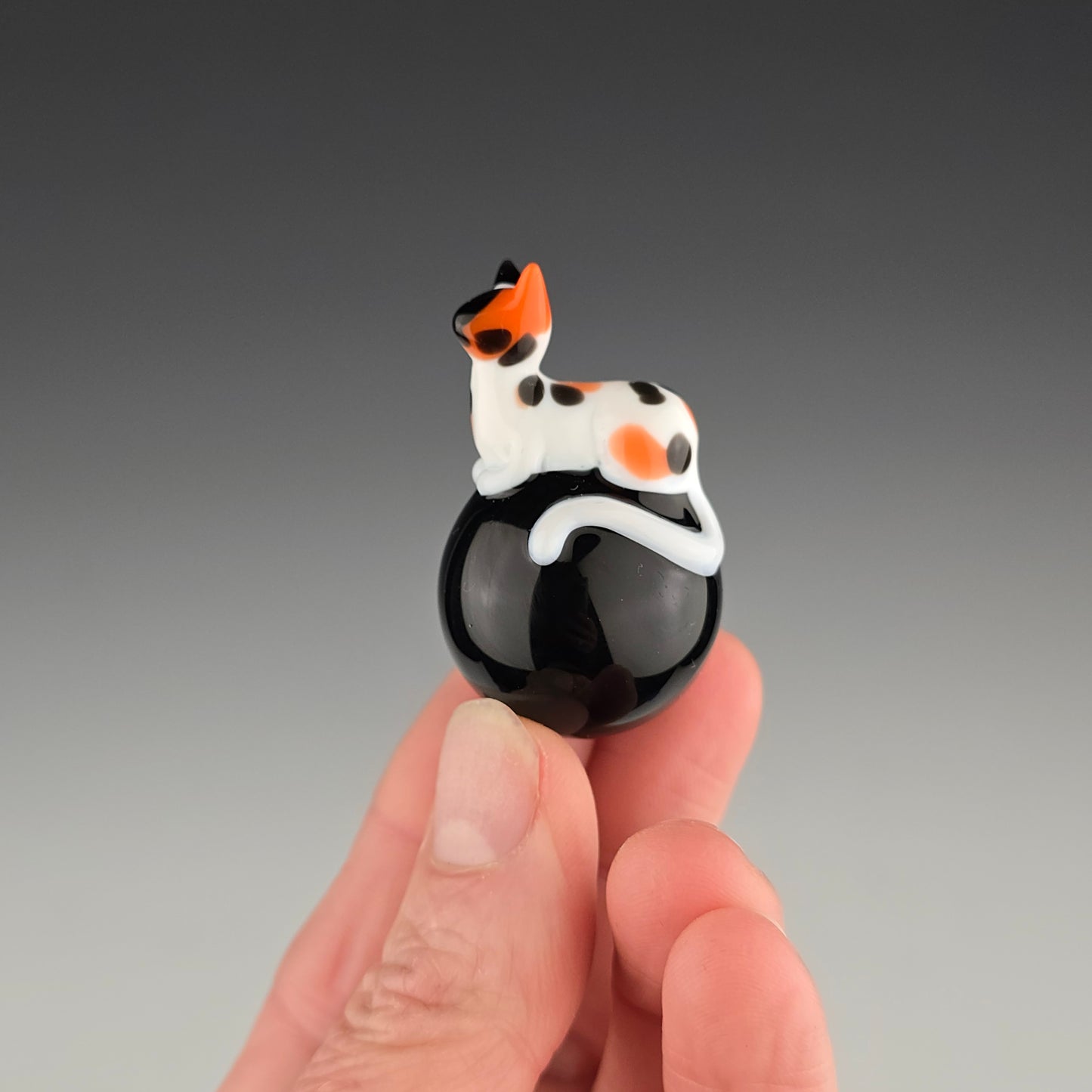 Calico Onyx 25.5mm