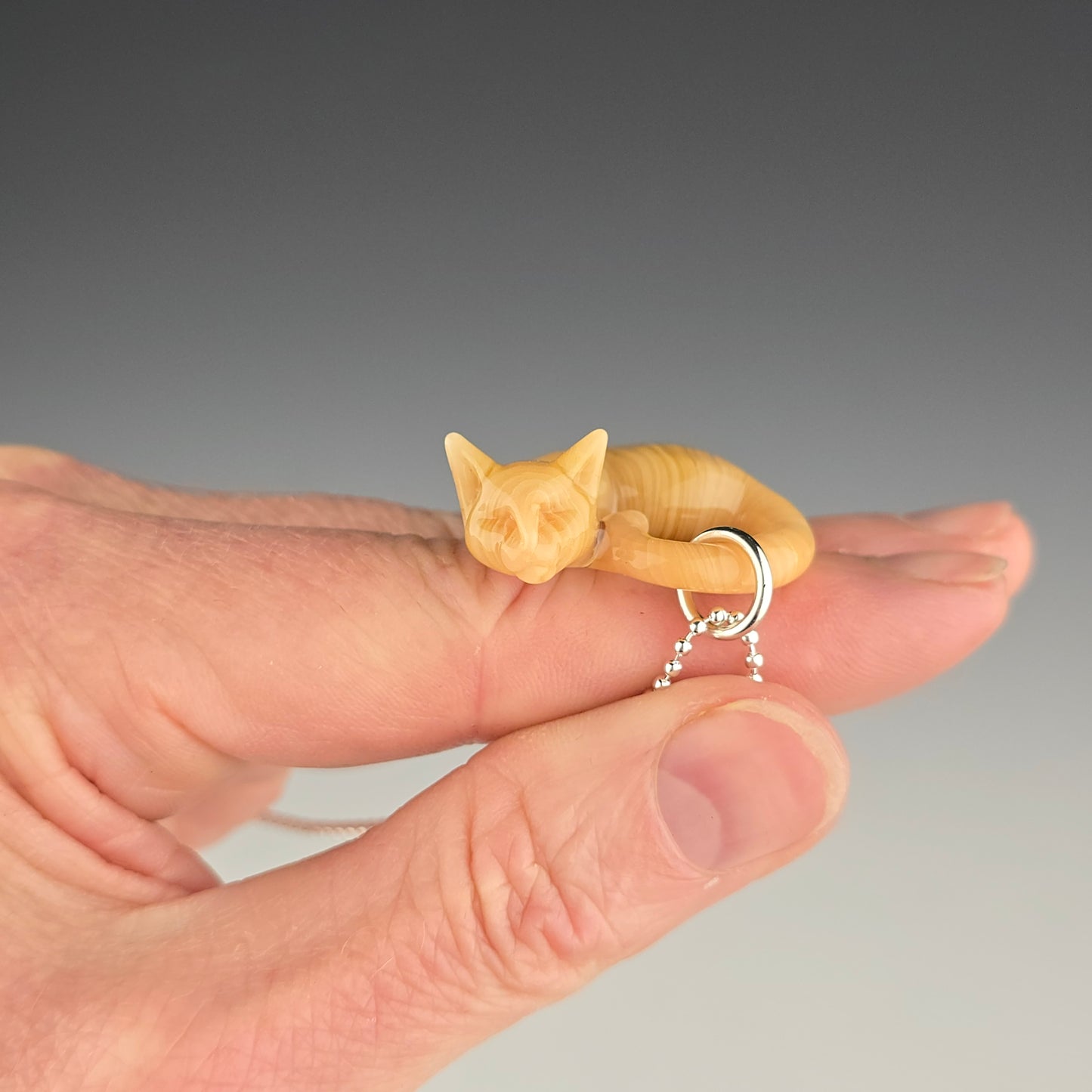 Orange Tabby: micro