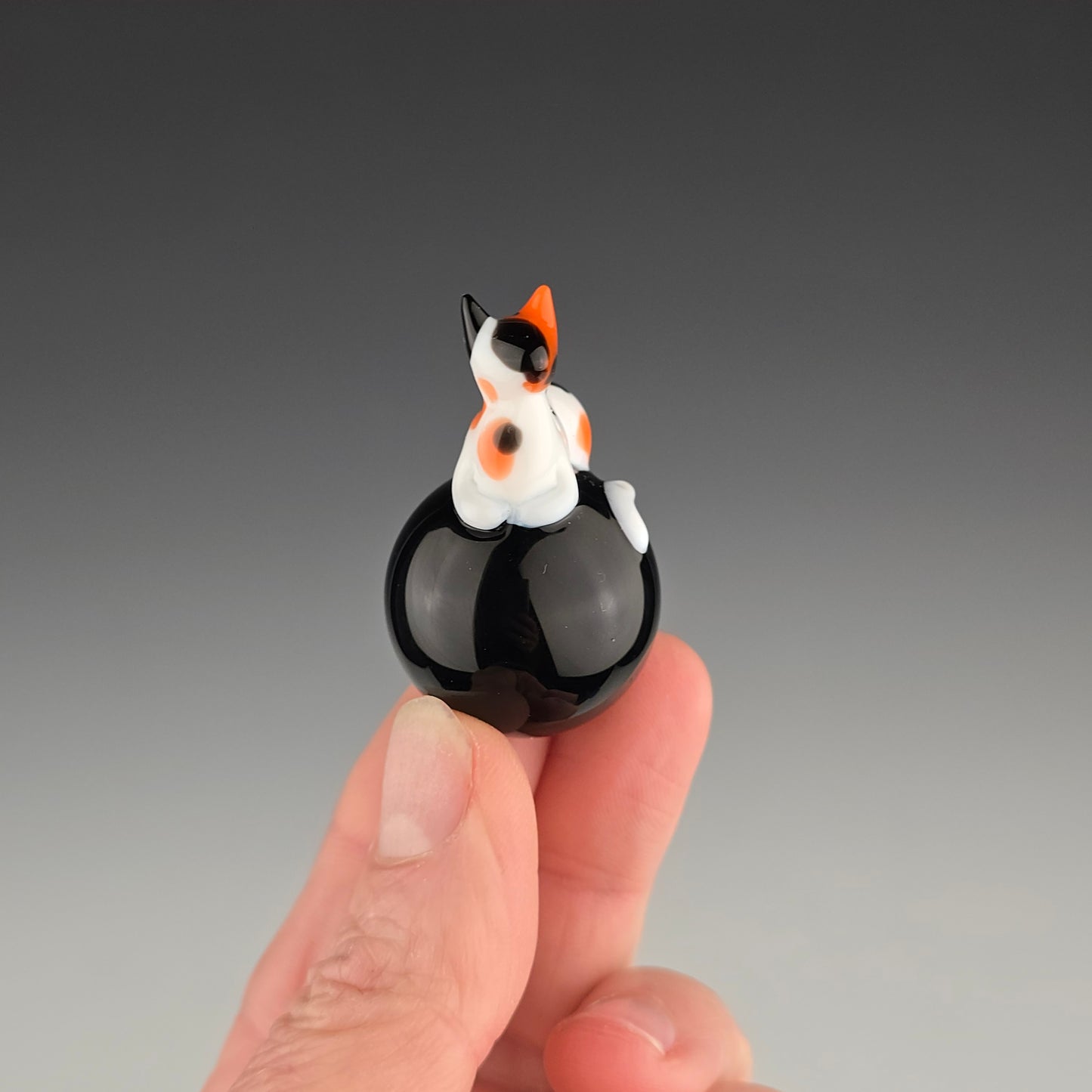 Calico Onyx 25.5mm