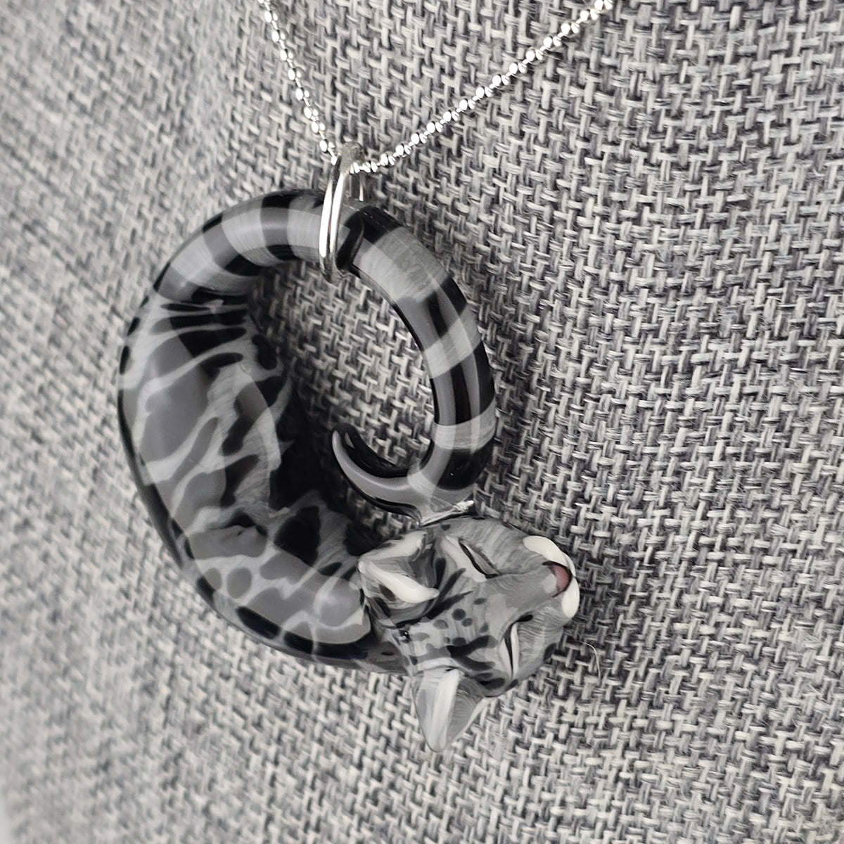 Black & Gray Swirl Tabby: large