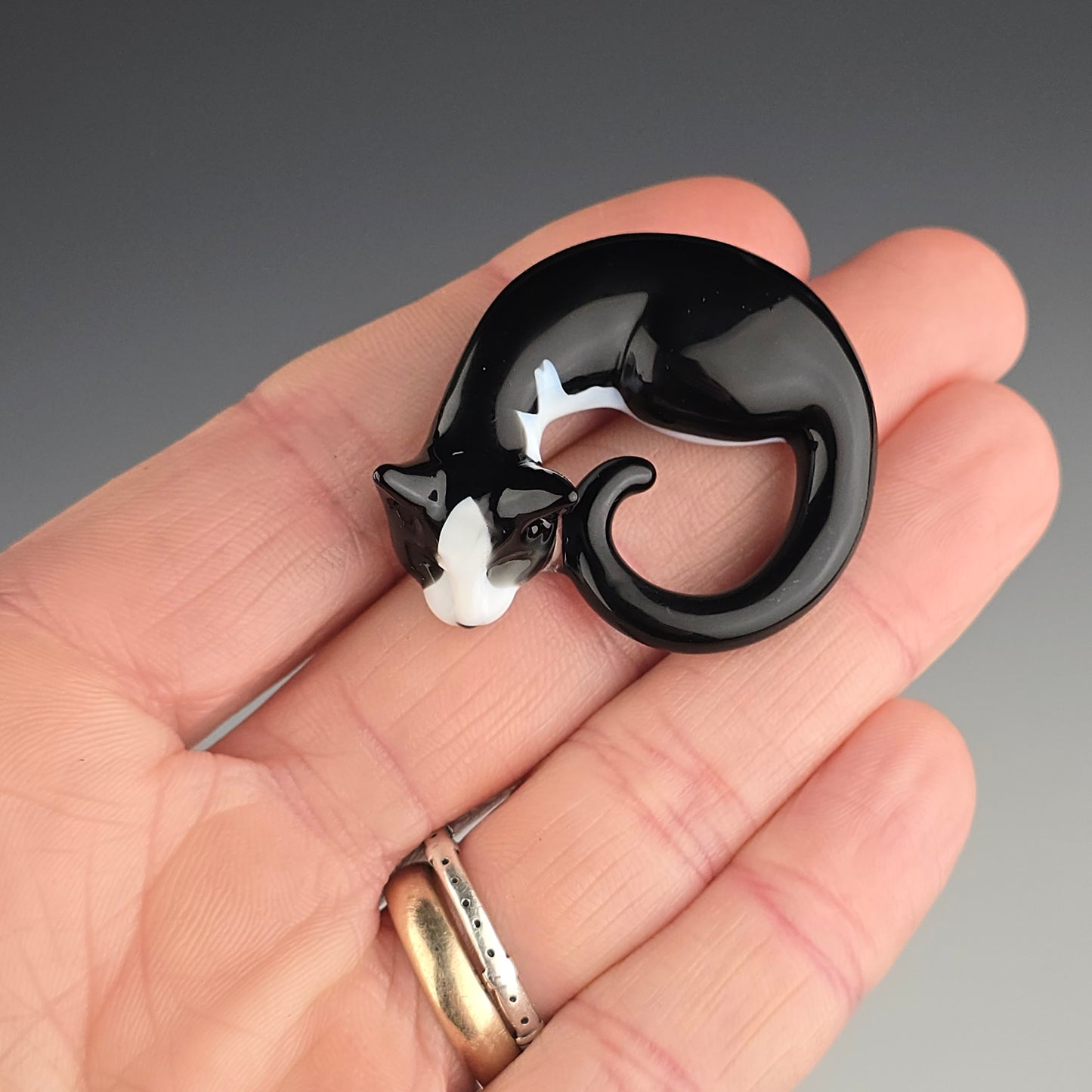 Tuxedo: small