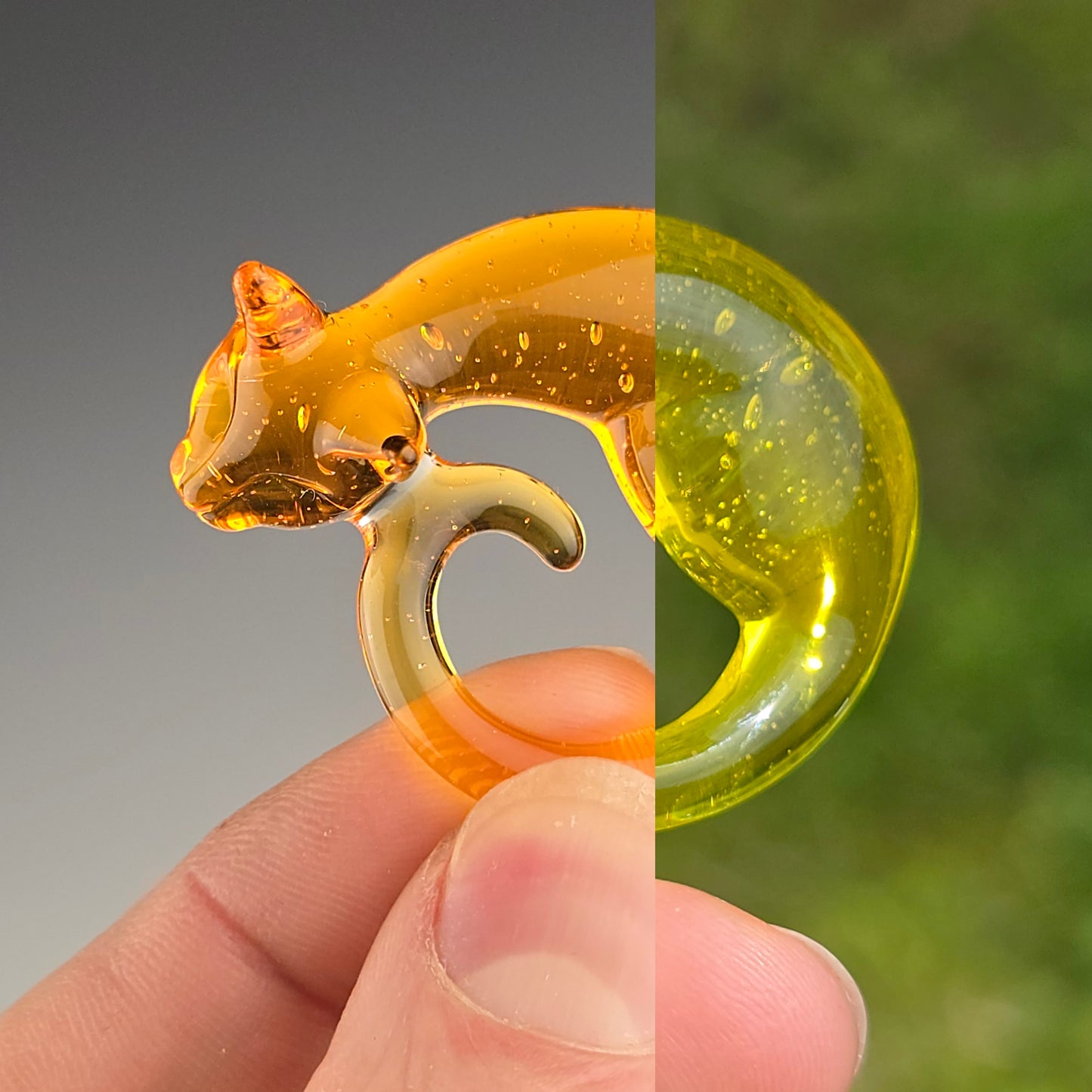 CFL Terps: small