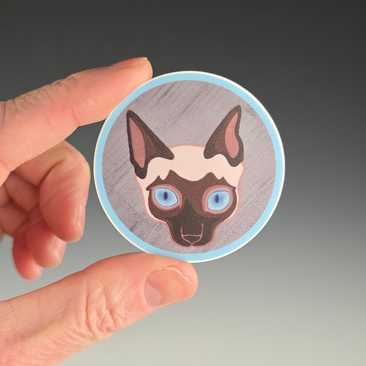Circular sticker with a painting of a siamese cat held by a hand against a gradient background
