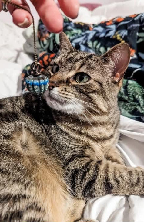 custom bauble with tabby