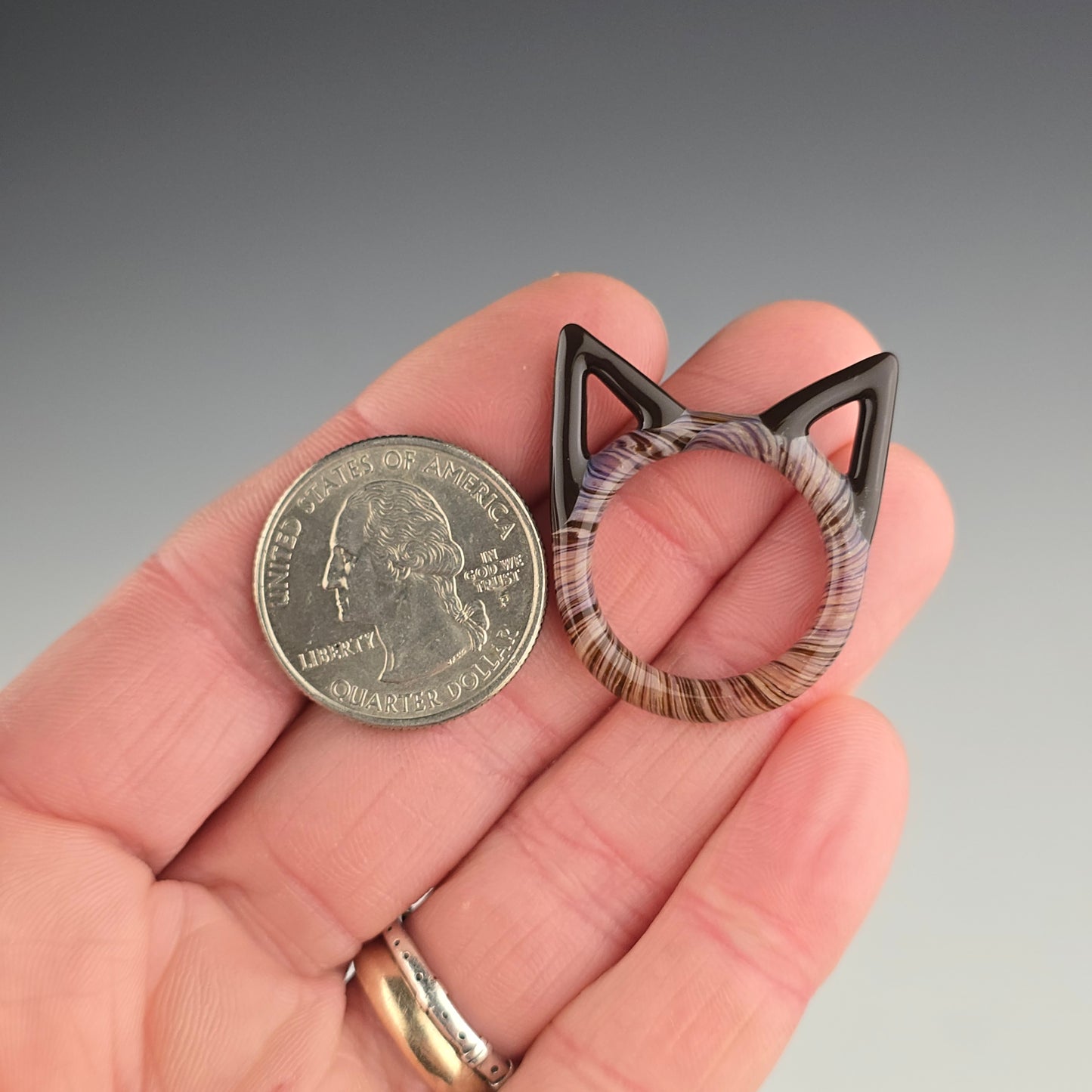 Dark Seal Point Kitty Face