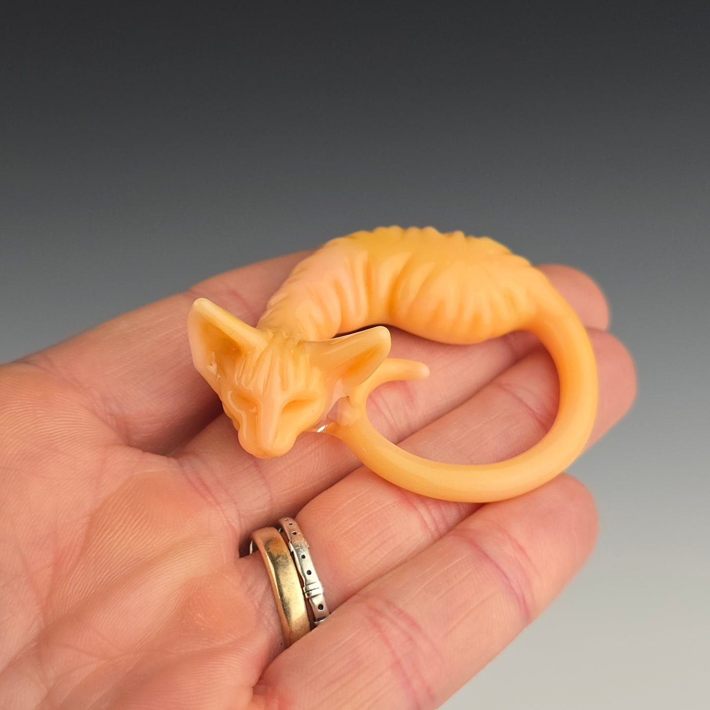 Chanterelle Sphynx: large