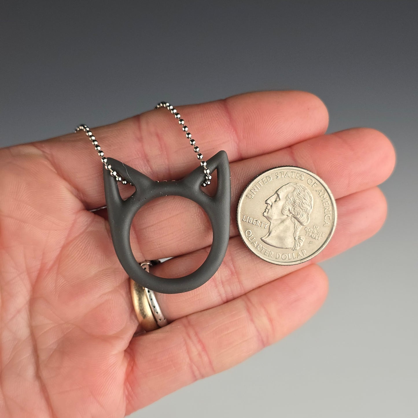 Gray & Black Tabby Kitty Face