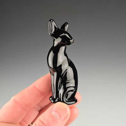 Onyx Oriental Shorthair Sitting Kitty