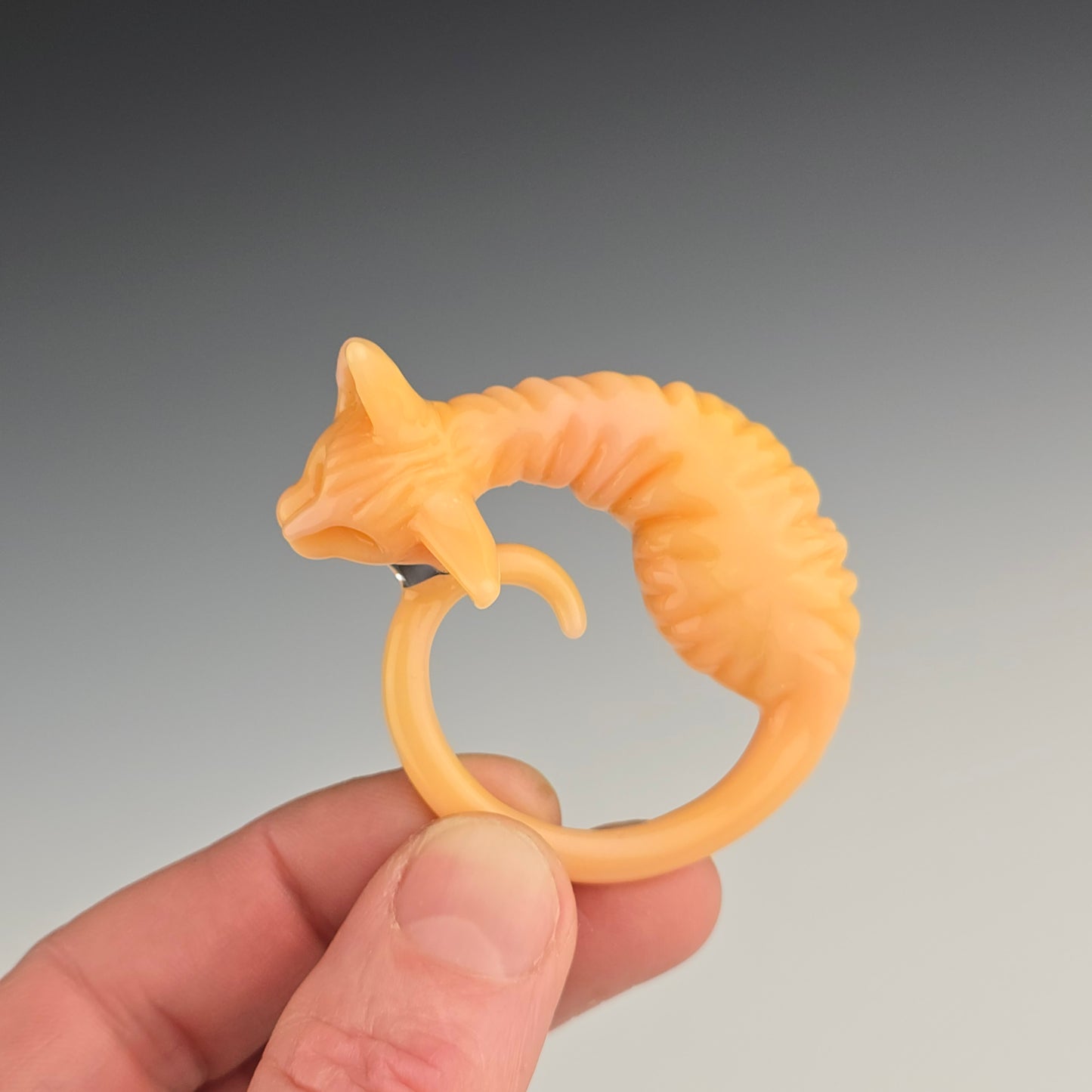 Chanterelle Sphynx: large