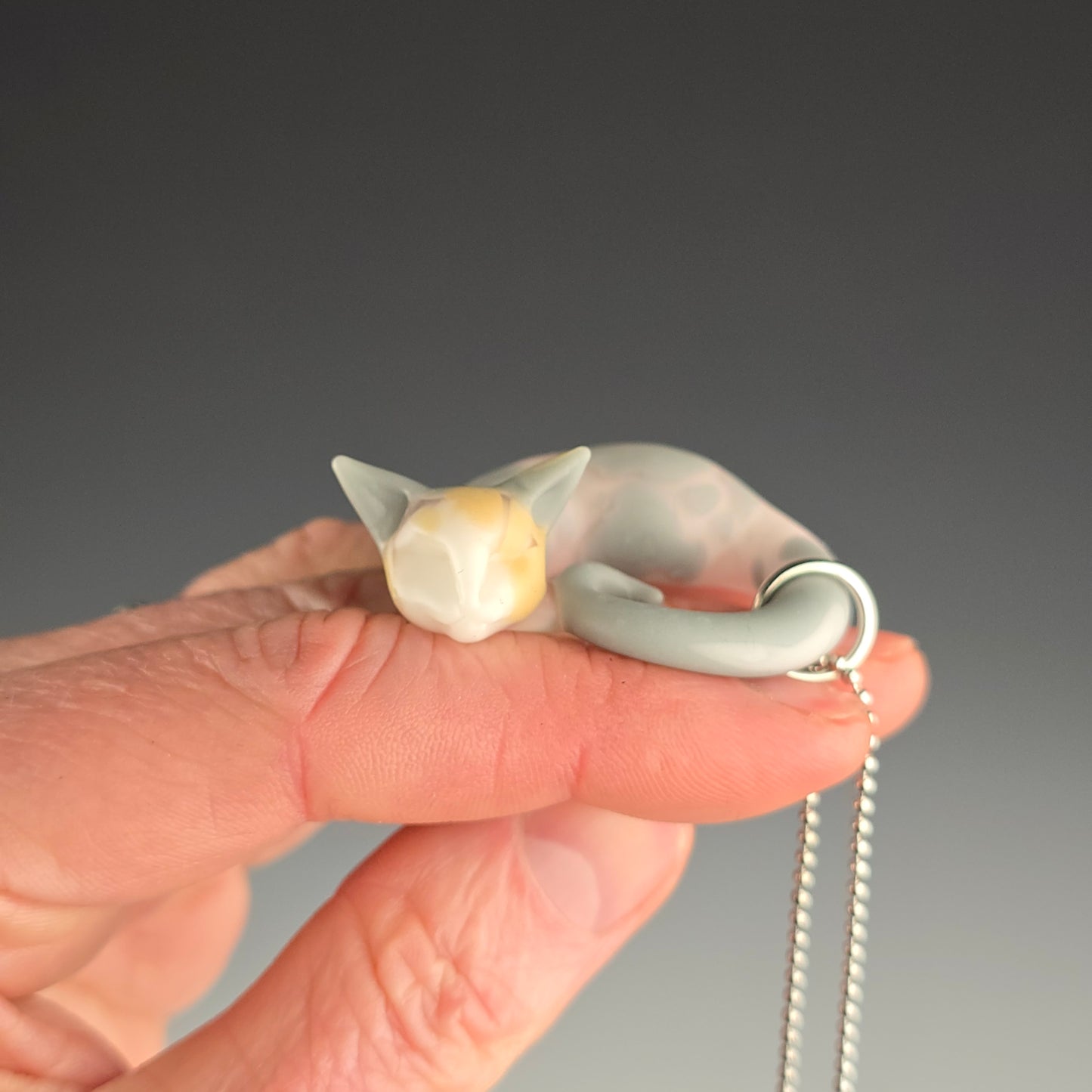 Calico Sphynx: small