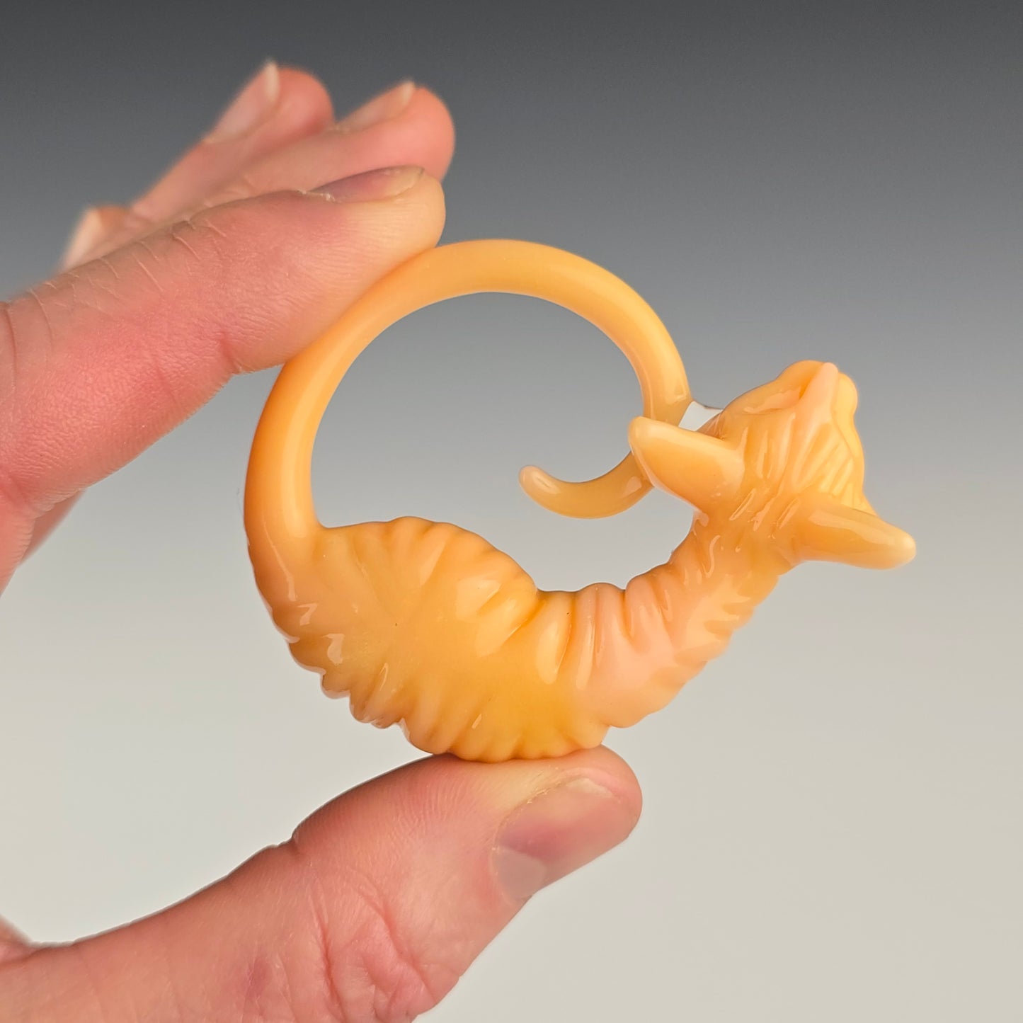 Chanterelle Sphynx: large