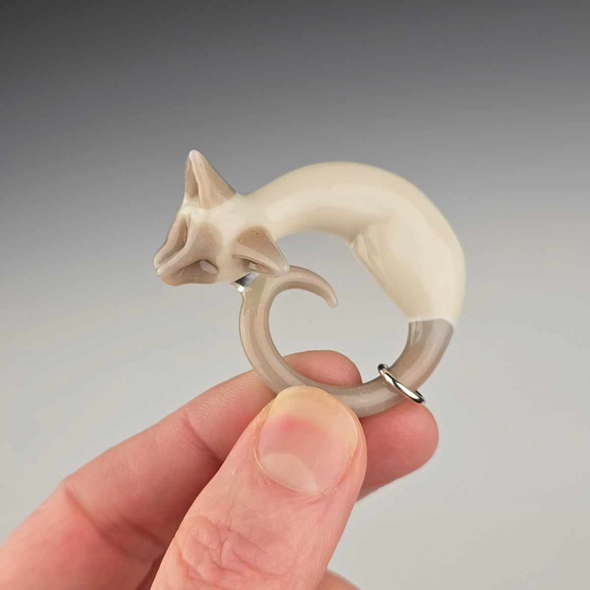 Cinnamon Point Siamese: regular