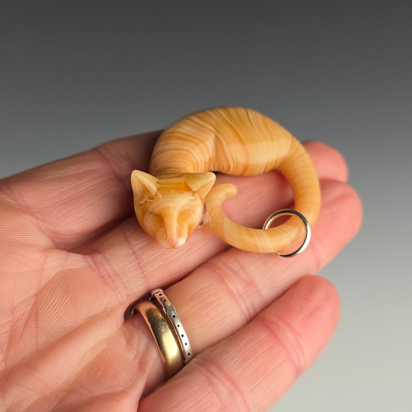 Orange Tabby: regular