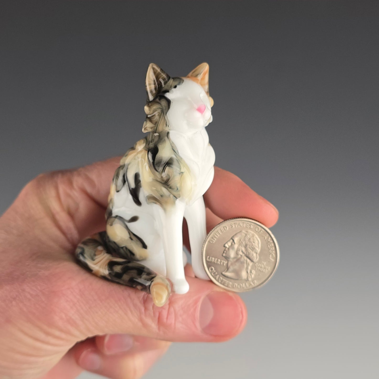 Longhaired Sitting Calico Cat