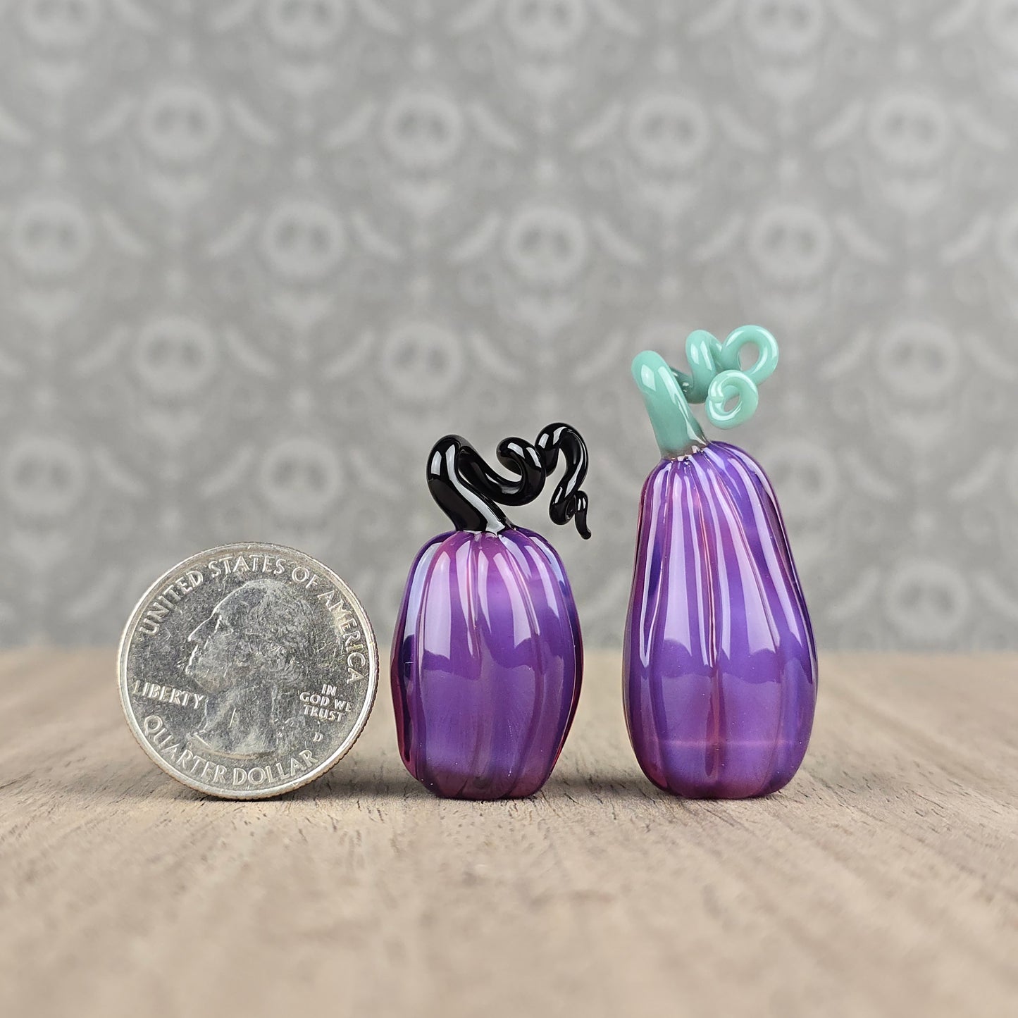 Tall Pumpkin: Stargazers