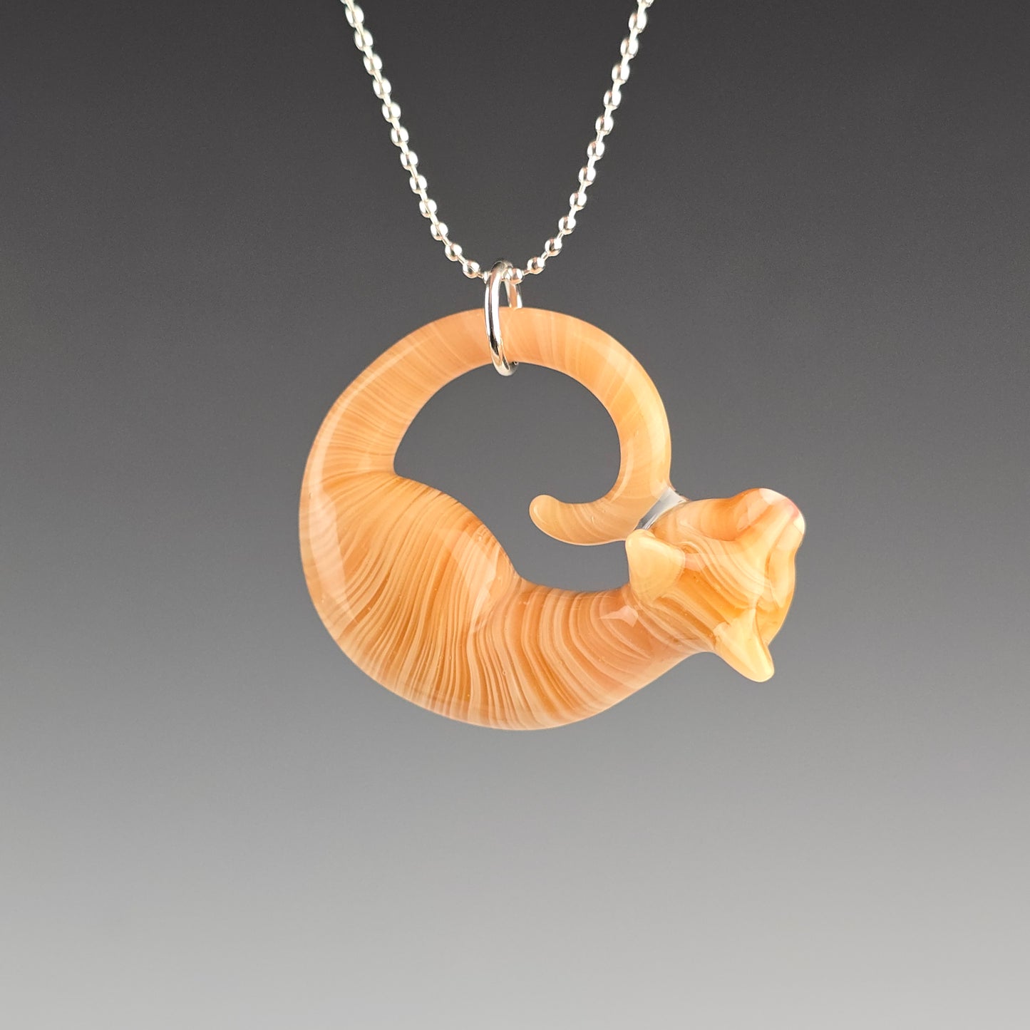 Orange Tabby: regular