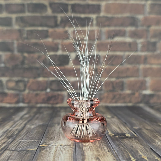 Brozay Whisker Vase #1