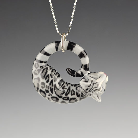 Silver Bengal: Large