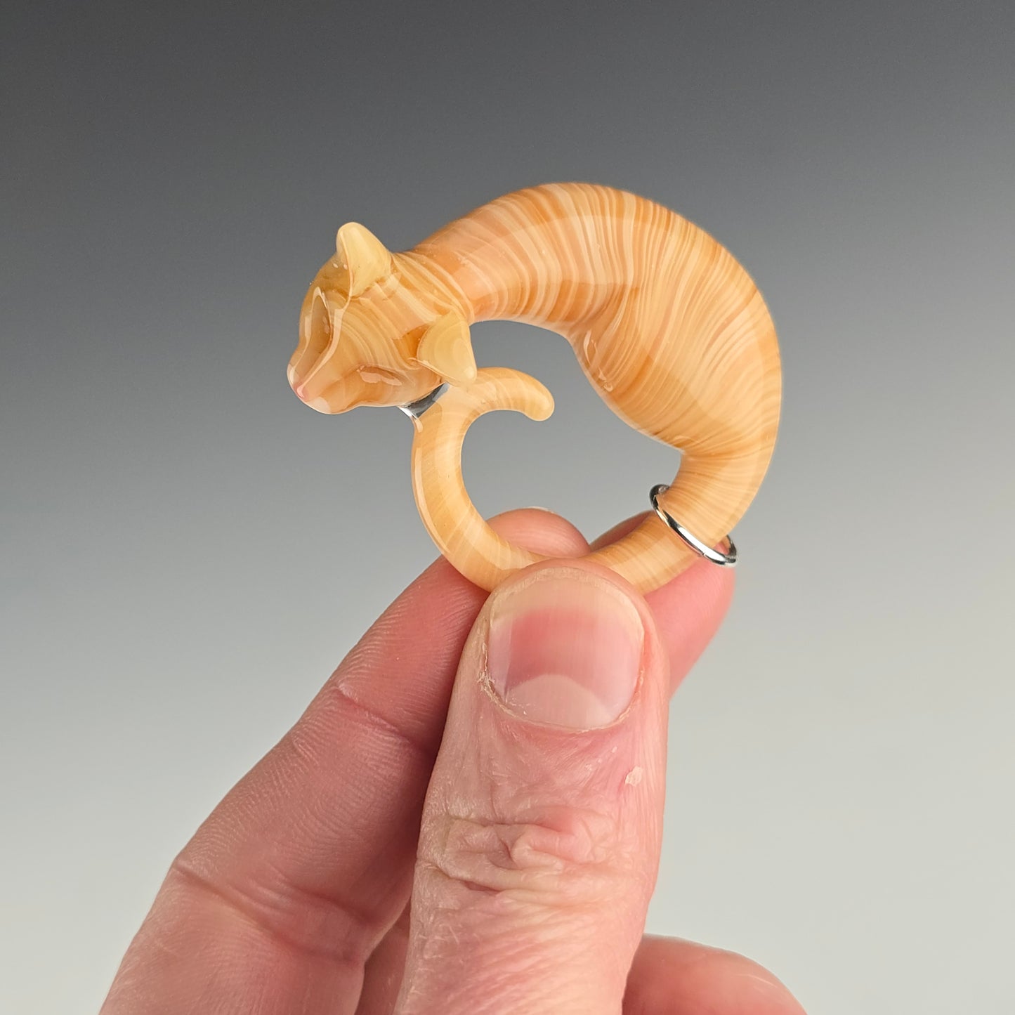 Orange Tabby: regular