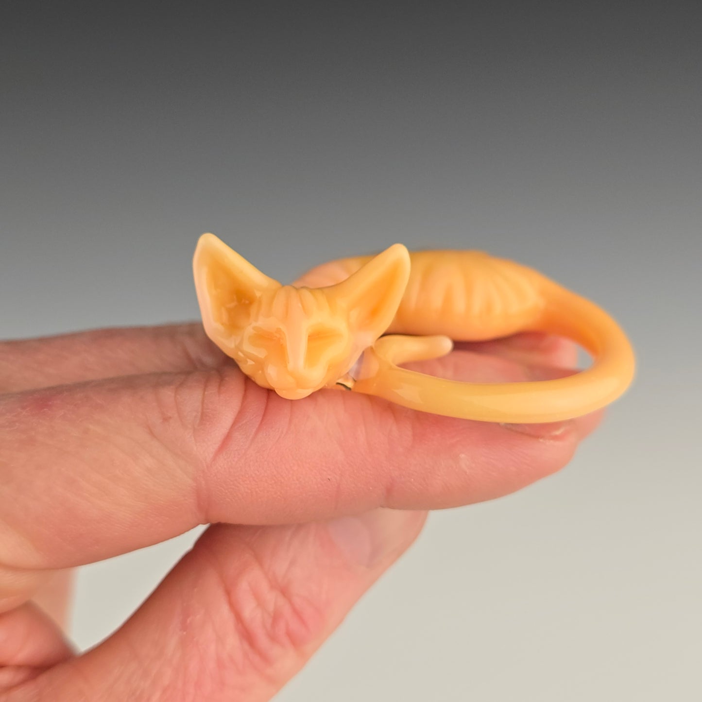 Chanterelle Sphynx: large