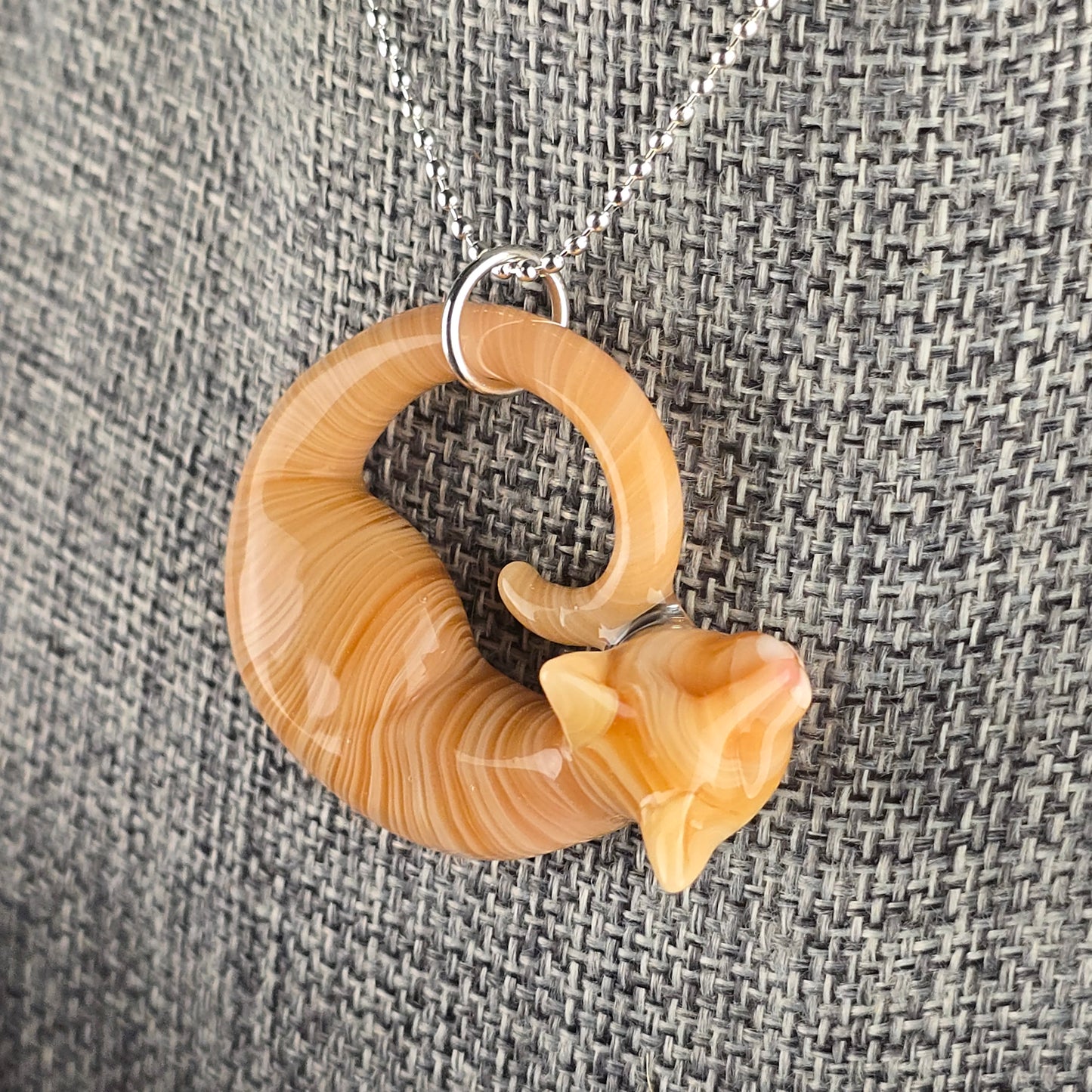 Orange Tabby: regular