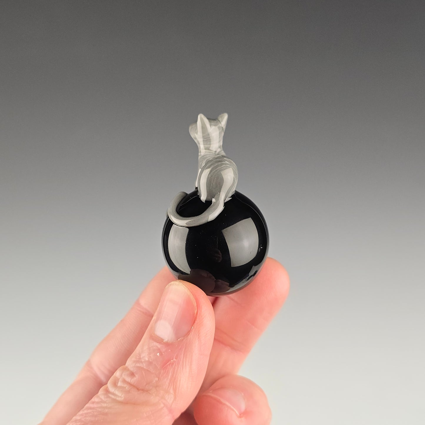 Gray Tabby on Onyx 26mm