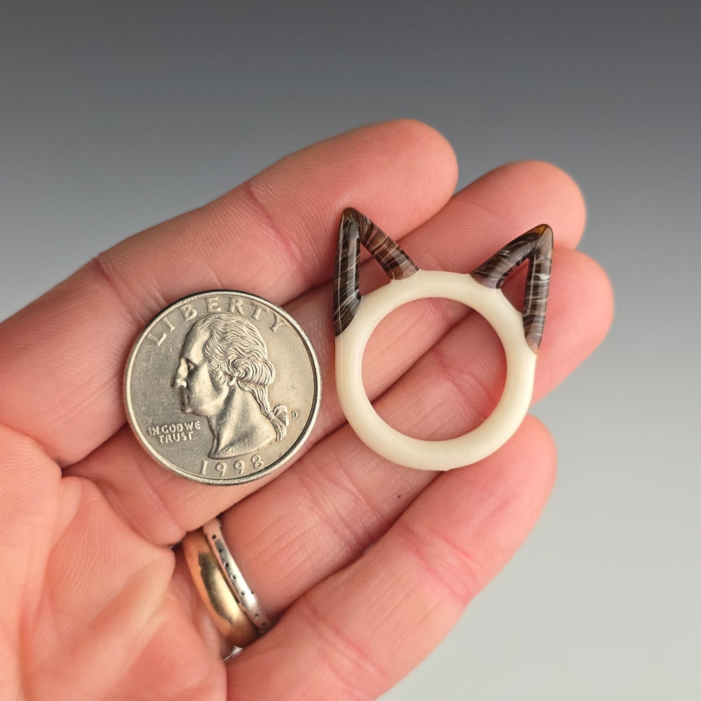 Chocolate Point Siamese Kitty Face