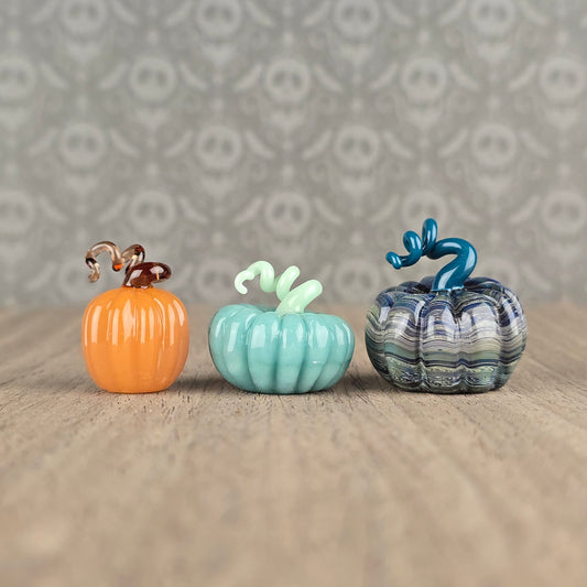 Short Pumpkin: Mix of Colors